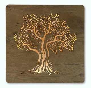 Obraz na stenu strom Olivovník